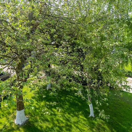 호텔 Irina 비너스